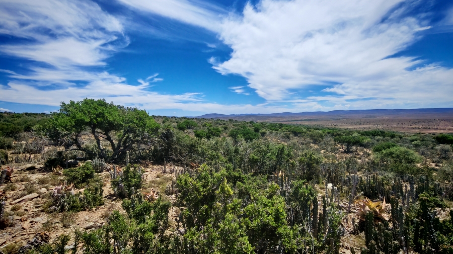 6 Bedroom Property for Sale in Pearston Eastern Cape